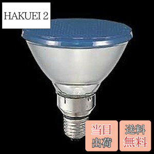 �y���������z�y���Łz �J���[�r�[�������v(��)100W�` E26���� �U���` BRF110V80WY