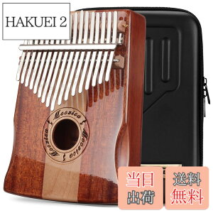 �y���������zMOOZICA 17�L�[ �J�����o K17SD