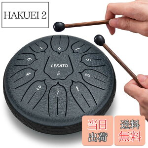�y���������z�X���b�g�h���� �X�`�[���^���O�h���� LEKATO �����h���� 11�� 6�C���` �Ŋy�� �}���b�g ���[�o�b�O�t�� �ґz ���K �T (�l�C�r�[�u���[)