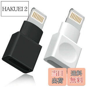 �y���������z���C�g�j���O�����P�[�u�� �A�_�v�^�[ 2�_�p�b�N Apple(�A�b�v��) MFI�F�� iPhone�[�d�� �����P�[�u�� �I�X�^-���X�^ �h�b�N �G�N�X�e���_�[ iPhone 13 12 11 X XS XR 8 7 6 5 iPad�Ή� �I�[�f