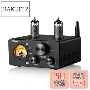 �y���������zAIYIMA T9 Bluetooth 5.0 100W*2�`���[�u�A���v 2.0�`�����l�� �^��� USB DAC�X�e���IHiFi�z�[���I�[�f�B�I�f�W�^���A���v RCA/COA/Opt/PC-USB�AVU���[�^�t��