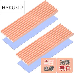 �y���������zRaonlla ���� M.2 SSD �q�[�g�V���N �����M���\ 2280 M2 SSD �q�[�g�V���N �T�[�}���p�b�h�t�� (2������)