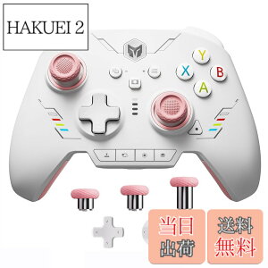 �y���������zPC �R���g���[���[�ABIGBIG WON Rainbow 2 SE ���C�����X �R���g���[���[ ���[�V���� �R���g���[���A�z�[�����ʃg���K�[�A12 �r�b�g ADC�A�W���C�X�e�B�b�N 3 �Z�b�g�A4�����\���L�[�A8