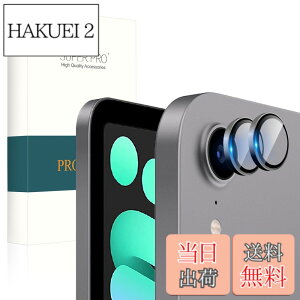 �y���������zPRODELI For iPad (A16) 11���� 2025 /Air 11/13 M3 2025 ��7���� ��p �J�����t�B���� mini7 (2024)/mini6 (2021)/Air 6/5/4/iPad 10(2022) �p �����Y�t�B���� �A���~�������{AR���������K���X ��7/6/5/4/11/10��