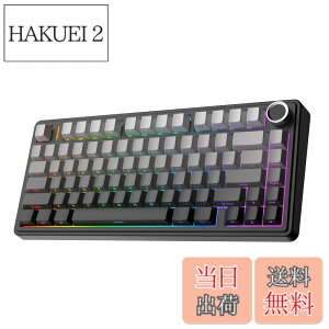 �y���������zEPOMAKER x Aula F75 �Q�[�~���O�L�[�{�[�h �K�X�P�b�g ���J�j�J���L�[�{�[�h 5�w�p�b�h���m�u�t�� 75% ���C�����X