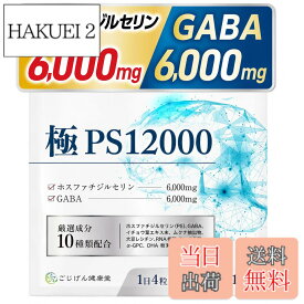 【送料無料】ホスファチジルセリン サプリ GABA 【厳選成分10種類x30日分120粒x国内製造】[ごじげん健康堂] サイズ：1袋