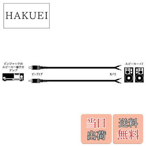 �y���������zJVC�P���E�b�h �r�N�^�[ �s���v���O-��o�� 2�{1�g CN-158A