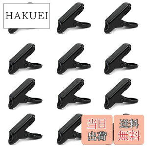 yzTRIWONDER 12 egNbv ^[vNbv egNv LvNbv AQ[^[^ Nbvz_[ v VW AEghA (~jNbv - 12)