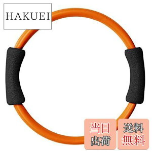 yzLa-VIE(B) _CGbgO AB 30cm seBXO 3B-3103 y[J[iz