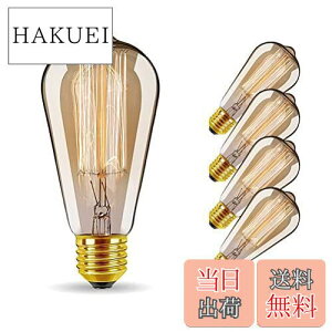 yzBravelight-GW\d 60W E26/E27 ST64 4 Be[WGW\v ^OXetBgdiNAjAeB[N Ή z[Ɩd Md