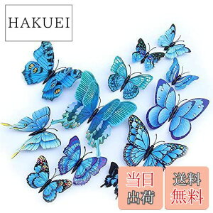 yzULIN  3D  EH[XebJ[ ǎV[  ʃe[v V[ rO ① CeA ǃV[  킢 EH[y[p[ |X^[ u[