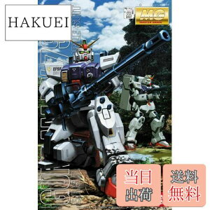 yzMG @mK_ 08MS RX-79G ^K_ 1/100XP[ Fς݃vf