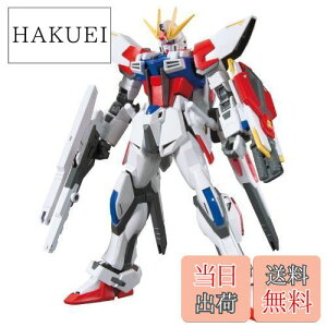 yzHGBF 1/144 X^[rhXgCNK_ vtXL[ECO (K_rht@C^[Y)