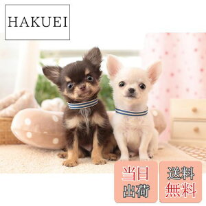 yzG|bN 300s[X WO\[pY /ybg   (26×38cm) 25-163 ̂t wt _t EPOCH