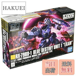 yzHGUC @mK_O`ɂ̃u[ u[fBXeBj[1@"EXAM" 1/144XP[ Fς݃vf