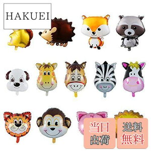 yzKesote D o[  A~ 13Zbg  CI a o[Xf[ Rt