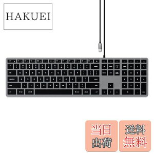 �y���������zSatechi �X���� W3 USB-C �L�� �o�b�N���C�g �L�[�{�[�h US�z�� �e���L�[�t�� (MacBook Pro, iMac, Mac Mini, iPad Pro �ȍ~�ȂǑΉ�) (3�]�[��)