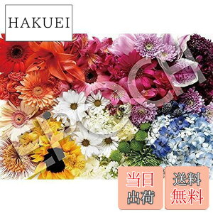 �y���������z�G�|�b�N�� 1053�X�[�p�[�X���[���s�[�X �W�O�\�[�p�Y�� �t�����[/�K�[�f�� Flower Rainbow (�t�����[���C���{�[) (26×38cm) 31-520 �̂�t�� �w���t�� �_�����t�� EPOCH