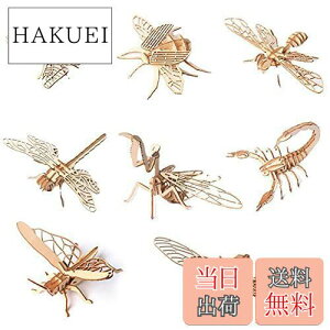 yzRimikuru   ؐ pY 3D ̃pY Zbg F H DIY q  mߋ ͌^ 