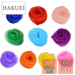yzDFsucces VtH VNXJ[t 10F V XJ[t g~bN _X VY qǂ XJ[tV _X ^ WOO Ȃǂ 60*60cm (10)