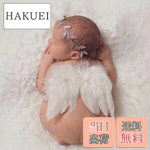 yzRICISUNG Vg̉H Ԃ n[to[Xf[ xr[ j[{[tHgQA[g wAoh GWFZbg