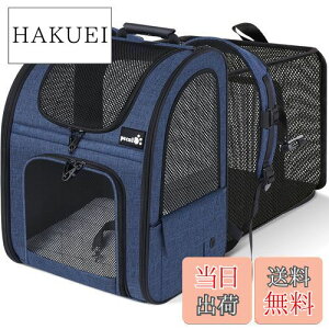 yzyL[g Pecute ybg L[obO Lp p bN bV ʋC g\ 2WAY ybgnEX P[W ܂ o hCu s ʉ@ h p L[ 