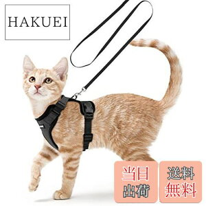 yzRabbitgoo L n[lX [h Zbg ^ Lp Ȃ ́[˂ \tg y グ TCY߉ lR U R 锽 ʋCbV Pݖh~ 