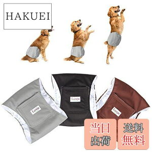 yzLuxja p}i[xg j̎q bV h Lk 3_Zbg }[LO R炵 IVbR΍ o  p(M,+O[+R[q[F)