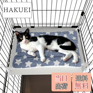 yzPOOKIE ybg }bg P[Wp L xbh Ȃ lRt {A  _炩 o[Vu 􂦂 tt ӂӂ Lbg^[ \t@ (O[X^[) TC