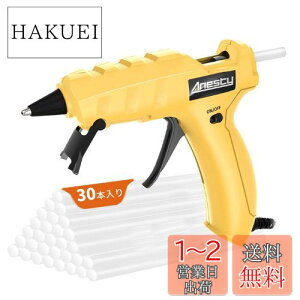 yzAnesty O[K 90b }M 50W  zr[pO[K Ȃ 茳ONEOFFo  ^ y | Ԃ̐ڒ DIY XebN30{t