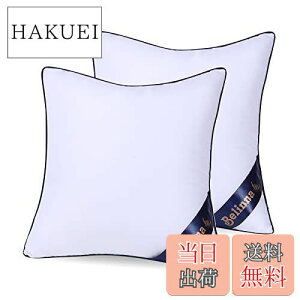 yzBelinna NbVg 45x45cm*2ĩTCYj ׂȂ Zbg cushion w \t@[NbV k[hNbV ې􂢉\ 