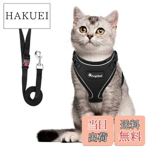 yzL Lp n[lX  L ˂ lR qL q ^ U o Ȃ xXg \tg y ʂ}WbNe[vő TCY߉ 锽 ʋCbV