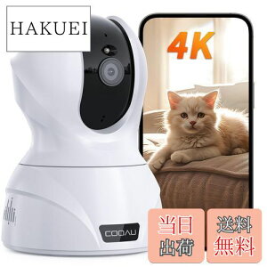 yzyՏꊴ800fE5GWIFIΉzCOOAU ybgJ iphoneΉ J 8MP ĎJ hƃJ Wi-Fi/LLANΉ ԈÎ 360°PTZ@\ u AIm J 