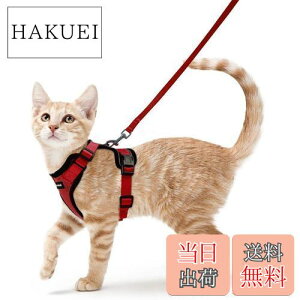 yzRabbitgoo L n[lX [h Zbg ɂ \tg y ^ ^ L U p n[lX  グ TCY߉ 锽 ʋCbV Pݖh~