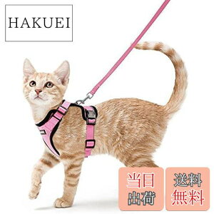 yzRabbitgoo Ln[lX [ht Lp U hДp Ȃ ́[˂  \tgy TCY߉ 锽 ʋCbV Pݖh~ U R [ (sN XS)