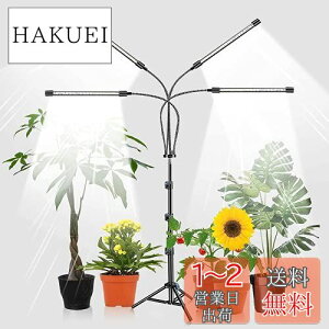 yzLEDA琬CgAX^ht4wbhvgCgAvgp80W 80LED 5500KtXyNgtAvgCgA9xAI/It^C}[A38`120 cm̎O