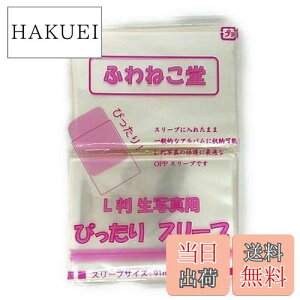 yzӂ˂ L ʐ^p ҂X[u (400)