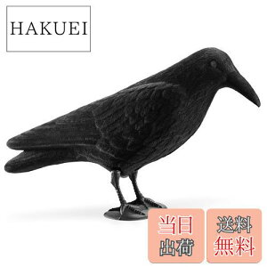 yzNavaris JX u 悯 ރObY - 悯ObY JX悯ObY Nh XY Q΍ - K[fjO C eAG