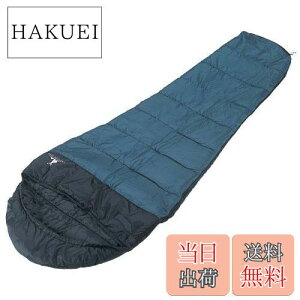 yzLveX^bO ANeBu Vt 600 (O[) M-3438