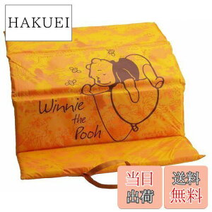 yzLveX^bO fBYj[ FDUug ܂̃v[ MA-4518