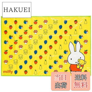 yzXP[^[ (skater) W[V[g S 90×60cm ~btB[ VS1 |GXe