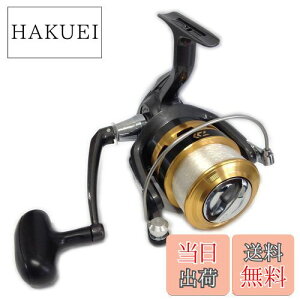 yz_C(DAIWA) XsjO[(t) 16 WCiX 4500(2016f)