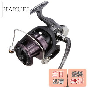 yz_C(DAIWA) XsjO[(E) 17 NXLXg 6000 (2017f)