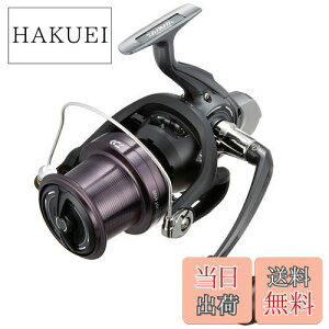 yz_C(DAIWA) XsjO[(E) 17 NXLXg 4500(2017f)