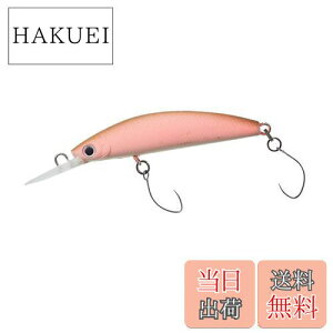 yz_C(DAIWA) GA gEg vb\ _uNb` 45F1 tuned by HMKL }bgO[T[ A[