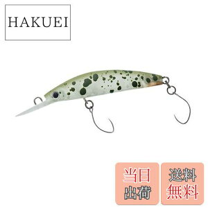 yz_C(DAIWA) GA gEg vb\ _uNb` 60F1 tuned by HMKL ~hV A[