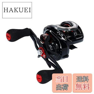 yz_C(DAIWA) tl X 100H [