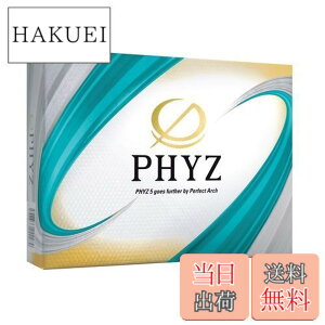 �y���������zBRIDGESTONE(�u���a�X�g��)�S���t�{�[��19PHYZ �O���[�� 12����