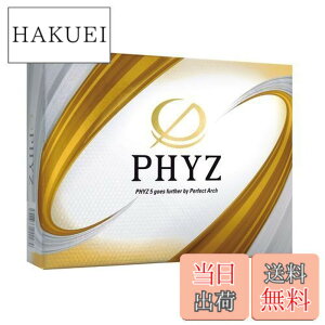 �y���������zBRIDGESTONE(�u���a�X�g��)�S���t�{�[��19PHYZ �p�[�� 12����