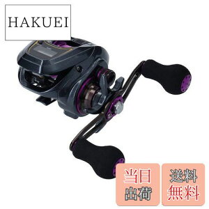 yz_C(DAIWA) LIGHT SW X IC L JE^[txCg[